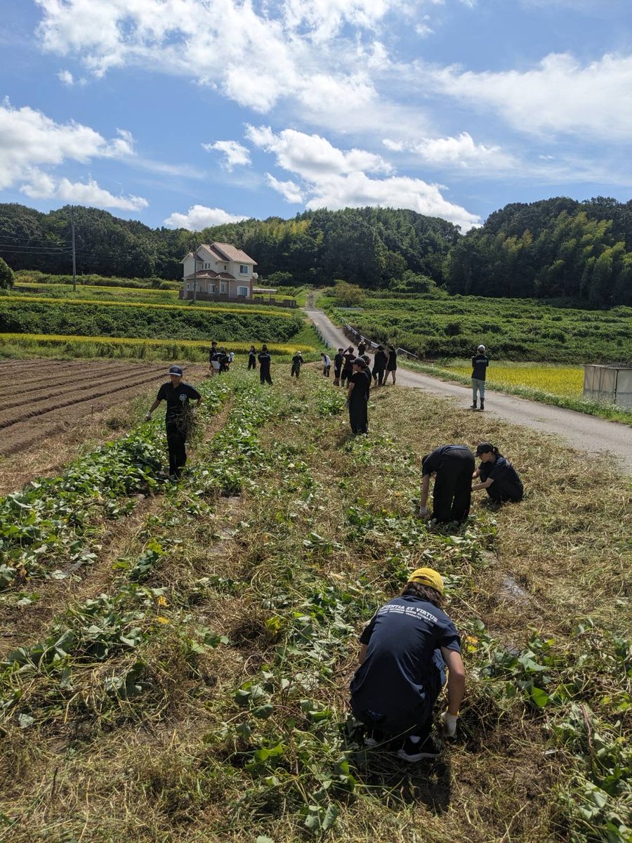 ikawa_offsalon's tweet photo. ＼本日開催！🍠��／
本日は、マリストの皆さんと一緒にサツマイモ畑の除草作業を行います！
畝間などにしっかり伸びた草をきれいにして、みんなで秋の収穫に向けた畑のお手入れ💪

#伊川谷オフラインサロン #農業体験 https://t.co/xoWyObP0ZJ