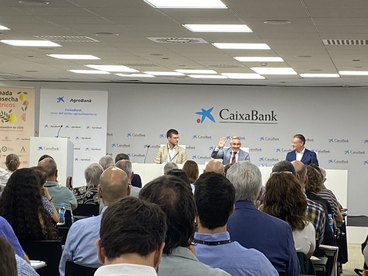 valenciafruits's tweet photo. Hoy estamos en la V Jornada #Poscosecha de #Cítricos con un aforo completo en la sede de @caixabank en Valencia.
@poscosecha @GVAivia @AgroBank @GVAagricultura https://t.co/mpUD36jFXi