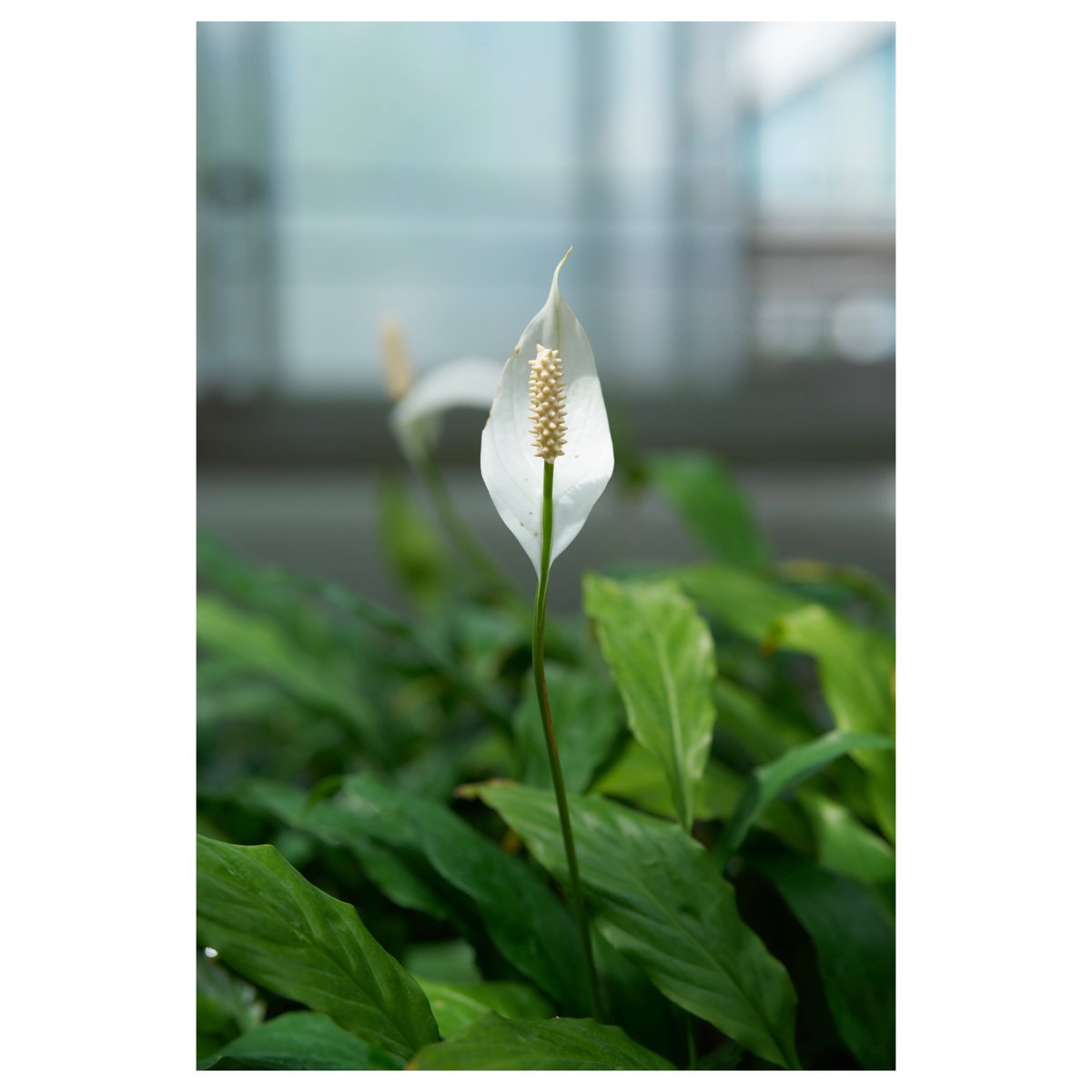PhotophotoK's tweet photo. https://t.co/9ZEFMCZ7T4