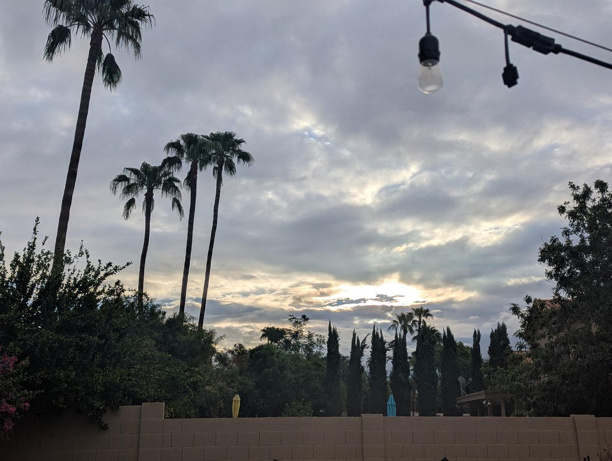 Bryanne's tweet photo. Talking to the void... 
Such a lovely sight this morning waking to the remnants of last night's rain scattered around my patio pavers. All the vibrant smells our desert offers after a rainfall are just magnificent. Even the flowers can't hide their happiness. 
Good tidings! ☕💚 https://t.co/yv2IOQPdhV