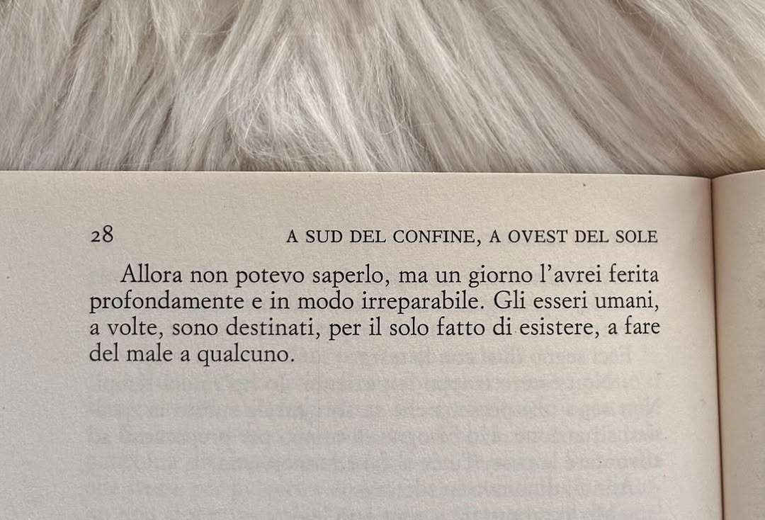 LouanneMer6j's tweet photo. When I need certainty, I always return to where I feel safe: among the pages that have comforted me. Only one author welcomes me like no other: Murakami. I don’t know why he never received the Nobel Prize, but I award him my own for always finding https://t.co/FbNxUjbgXi