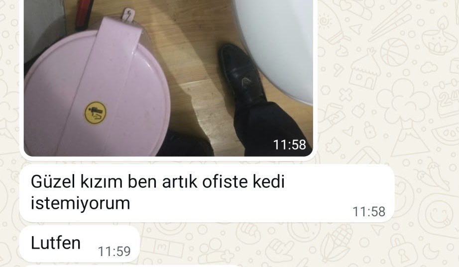 EzgisuPolat's tweet photo. Sığdıracak bir yer kalmadı artık 
Şehir fark etmiyor 
Yuva arıyoruz https://t.co/m3Emsnimv8