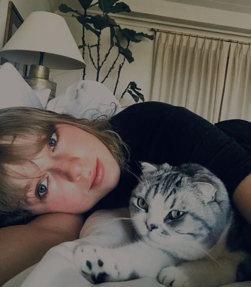 TaylorSwift5k's tweet photo. My little baby with four paws 🐾🐈🎺 https://t.co/b4f8bz34eA