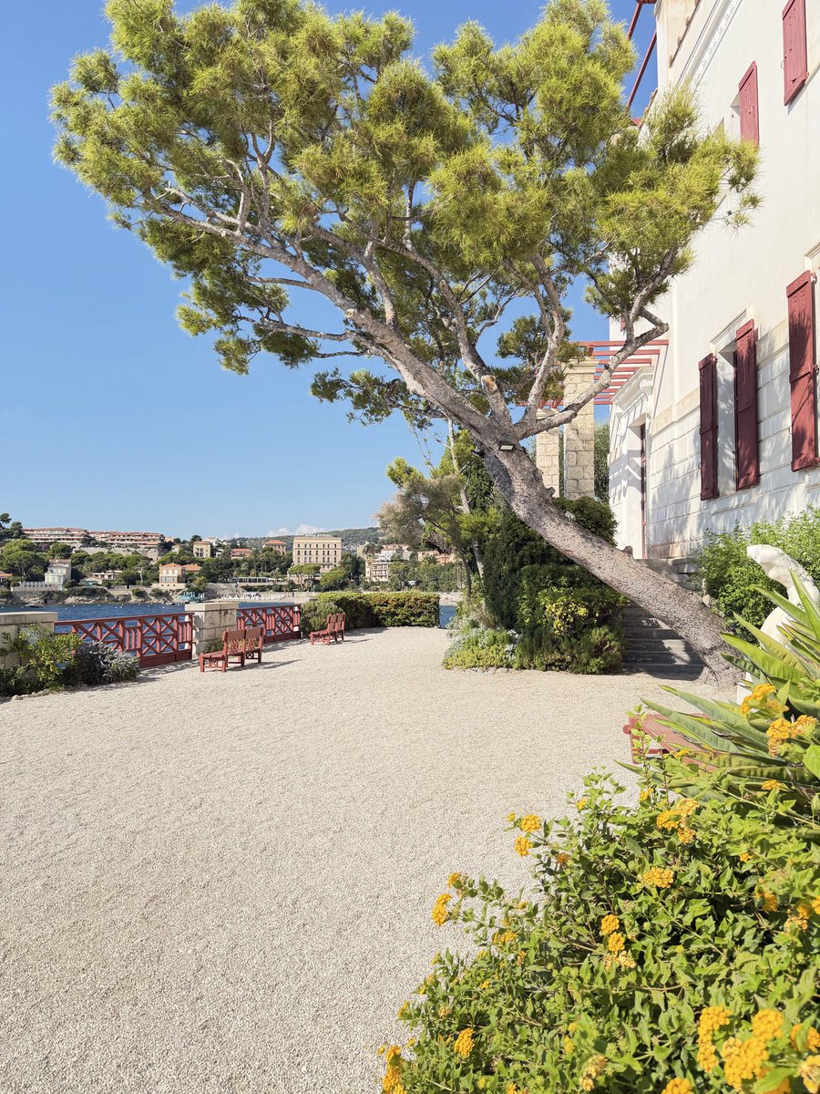 canonical777's tweet photo. The French Riveria is so beautiful after getting sexually harassed by a European homosexual and turned down by the doorman at La Rotonde even though I’m staying at Le Negresco. Grand-Hotel du Cap-Ferrat would never. https://t.co/sndydBkB5z