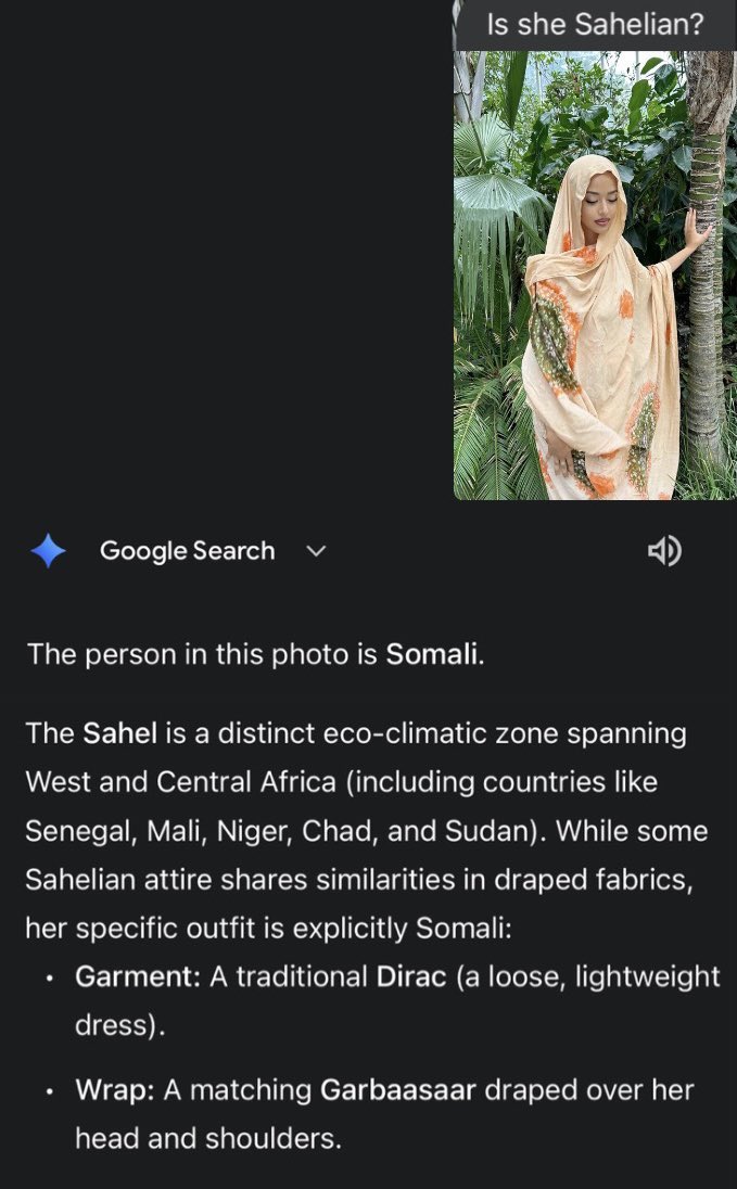 elonisafn's tweet photo. @Mydefendme @Chill_hoodgang @hornofLibaaxs @KayJamesBA @Ginkitxuetsb @DALLAS_BOI4 @grok Nigerians are delusional using Bantus, One minute they are showing different negro chicks the other minute they are tryna claim everyone including Somali women. Like dude my people don’t look like you.. you a nigger with black negro features be proud &amp; stop using Somali pics https://t.co/nyZS3DU6d5