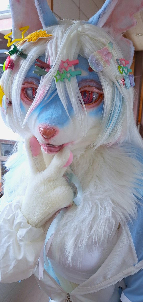 F_East_CAfe's tweet photo. この度ご縁がありまして、黒胡麻（@kurondou）様から犬の女の子、
”ラプス”ちゃんをお迎えさせていただきました！
みなさま新しい子もよろしくお願いいたします！
#FursuitEveryday https://t.co/aSvu61K4Ya