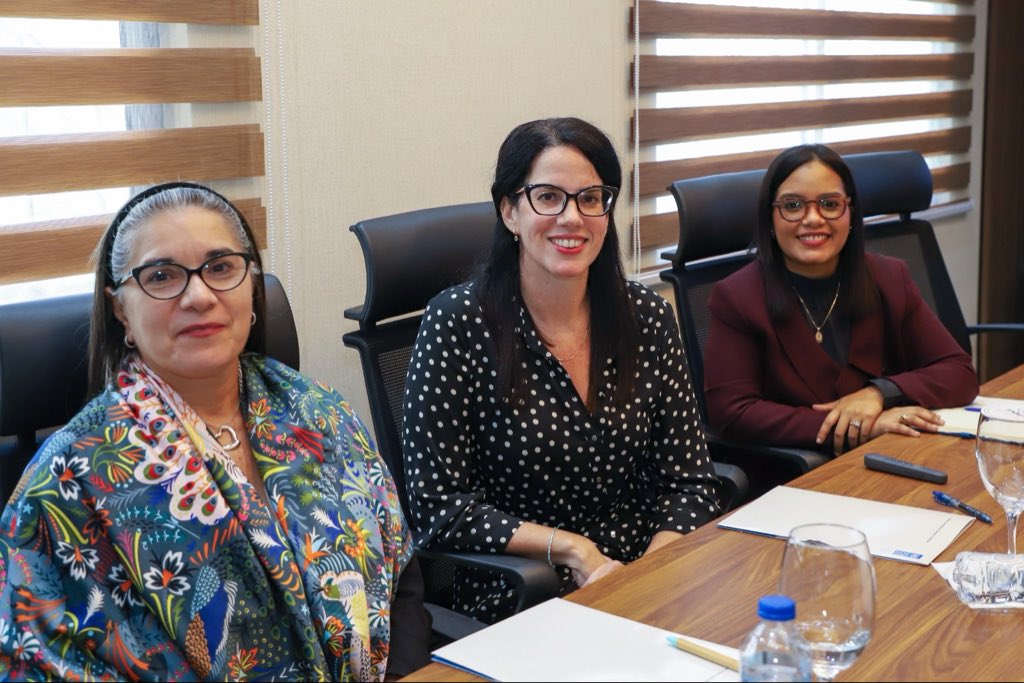 INAIPIRD's tweet photo. Nuestra directora ejecutiva, @xiomaraguante, recibió al @pnudrd para dar seguimiento a los avances y proyecciones del proyecto de Fortalecimiento Institucional del INAIPI, orientado a mejorar la calidad, inclusión y sostenibilidad de los servicios.
#INAIPIRD #PrimeraInfanciaRD https://t.co/F87NjcfSPw