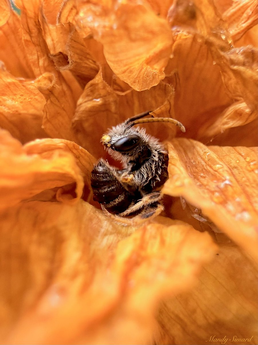 MandyLSimard's tweet photo. One of my new favourite pictures I’ve ever taken… https://t.co/kYXzhmIdhB
