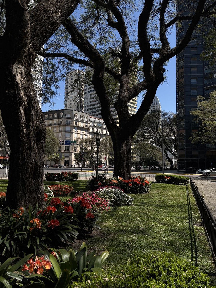 ervitimago's tweet photo. Voy a dedicar mi vida a llenar Buenos Aires de plazoletas como esta 🌸 https://t.co/LkZxQZEL9P