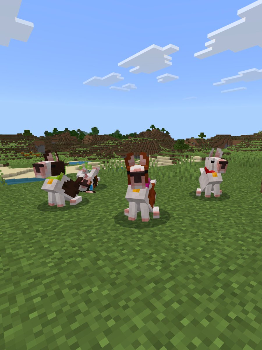 Gbiel_yBrothers's tweet photo. 🐶Whistle for your dog and call them home, or off on a new adventure as you explore the new features of DogsPlus & Wilderness Bound!!
The new #DogsPlus addon update is out now!!
Download: https://t.co/0ToUYlpeob https://t.co/g4iv8QUdrl