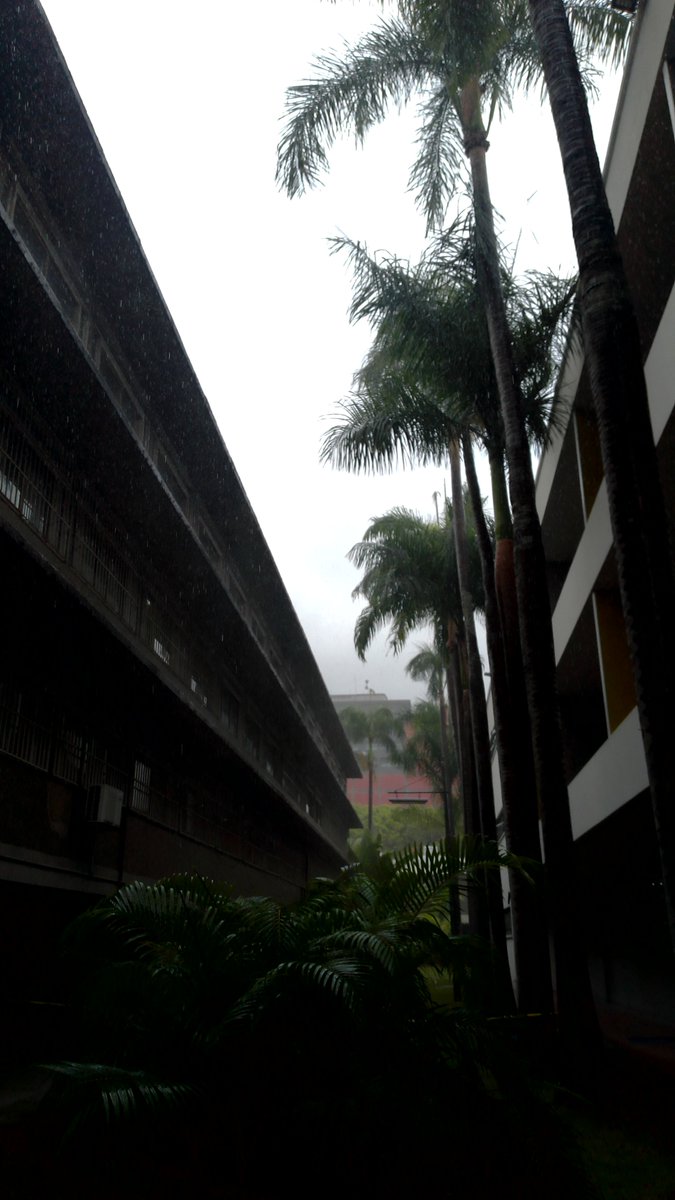 joaco0929's tweet photo. Hoy, en algún lugar de la Universidad Central de Venezuela (UCV) viendo la lluvia. https://t.co/0OUBoaZQzs