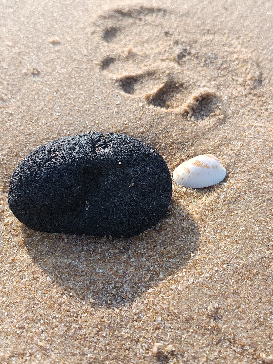 niileshraichura's tweet photo. Today challenge ::Stone
Share your best stone pic and QT it. https://t.co/vMDt12AWRH