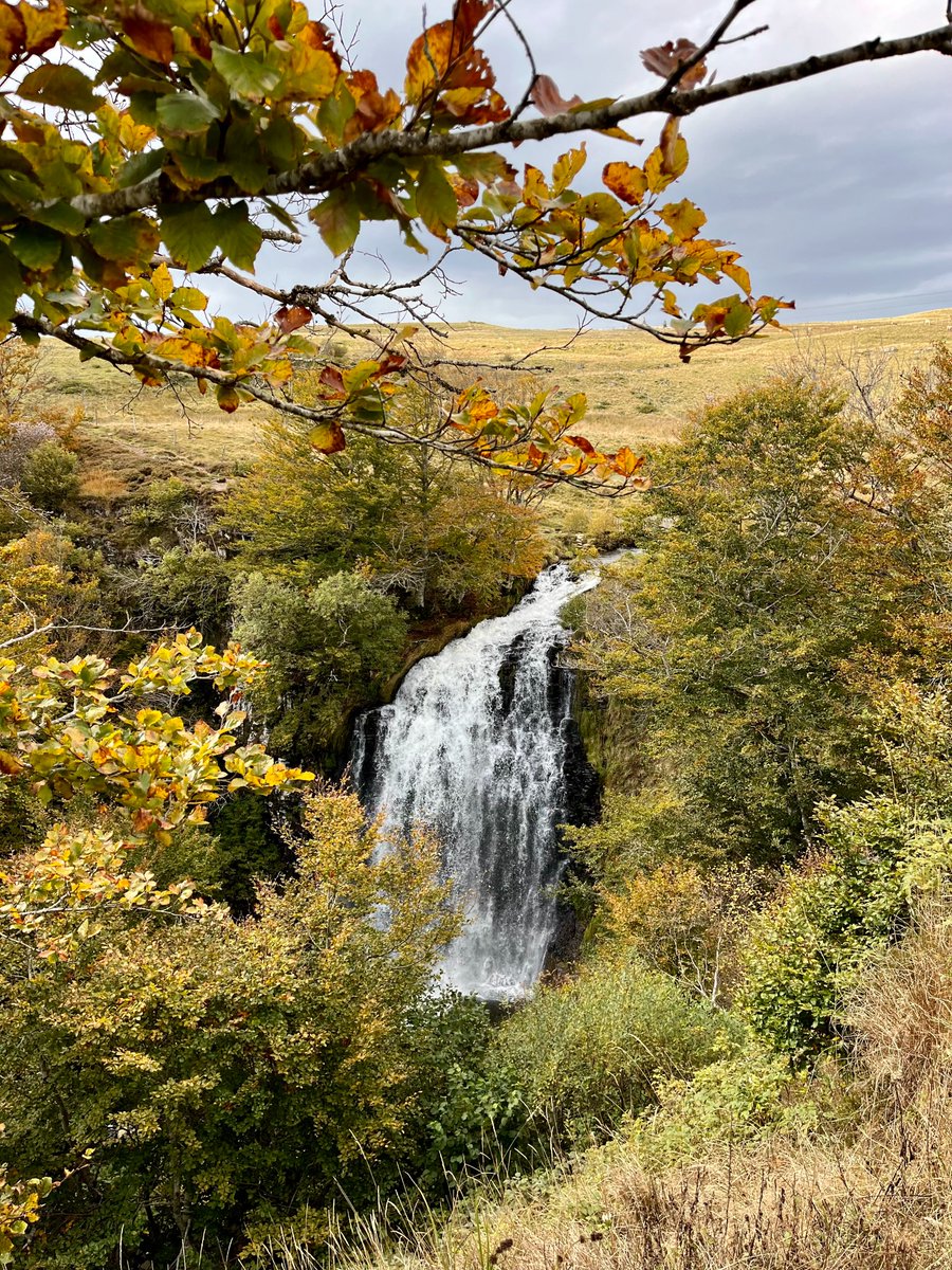 otsancy's tweet photo. L’automne est officiellement là… 🍁
Dans les prochains jours, le Massif du Sancy changera doucement de visage. Les verts laisseront place aux ors, aux cuivres et aux teintes flamboyantes, tandis que les sommets se pareront de leurs couleurs d’automne 🥰

Bonne journée ! 🦋 https://t.co/jdpwe4sgca