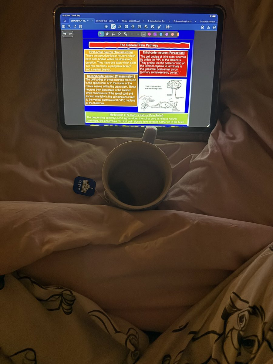 drsadeeem's tweet photo. Neurology please be kind🥹 https://t.co/OoAEorIGD1