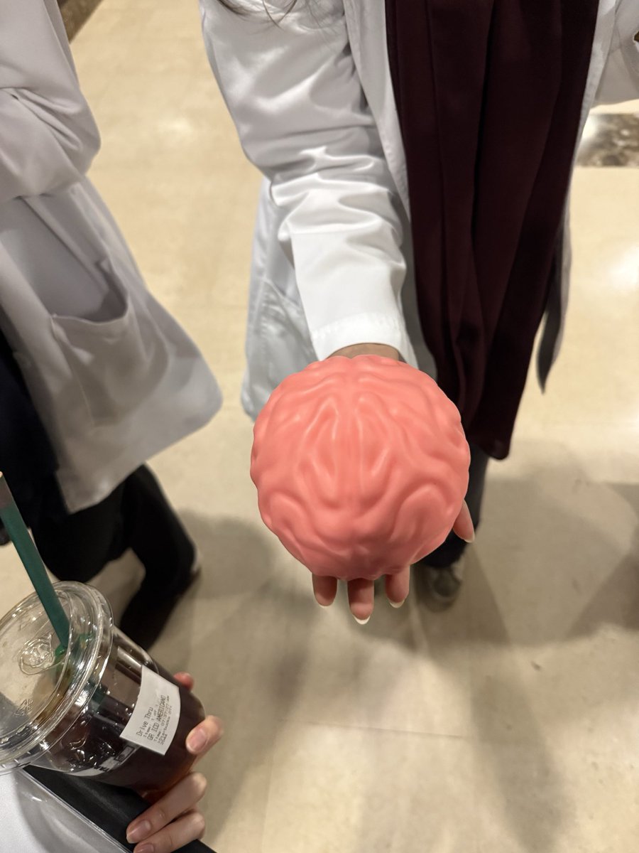 drsadeeem's tweet photo. Neurology please be kind🥹 https://t.co/OoAEorIGD1