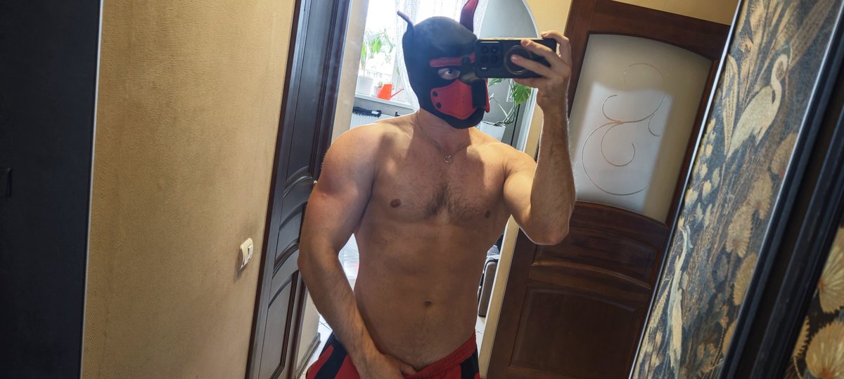 Dentevs's tweet photo. Сегодня хороший мальчик https://t.co/s0KBEm7f2l
