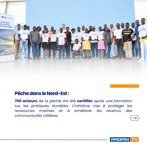 profintv's tweet photo. 🇭🇹 Commerce, économie bleue et éducation au cœur de l’actualité.

Le prolongement de HOPE/HELP jusqu’en 2028, la certification de 700 acteurs de la pêche dans le Nord-Est et le soutien à plus de 300 enfants à Jacmel témoignent d’initiatives favorisant le développement économique et social du pays.

📲 Retrouvez tous les détails sur notre site.

👉 Cliquez sur le lien [https://t.co/Wfyu6AzsKT ] pour lire les articles.

#PFINFO #Haïti #Économie #Actualités #HOPEHELP #Éducation #Développement