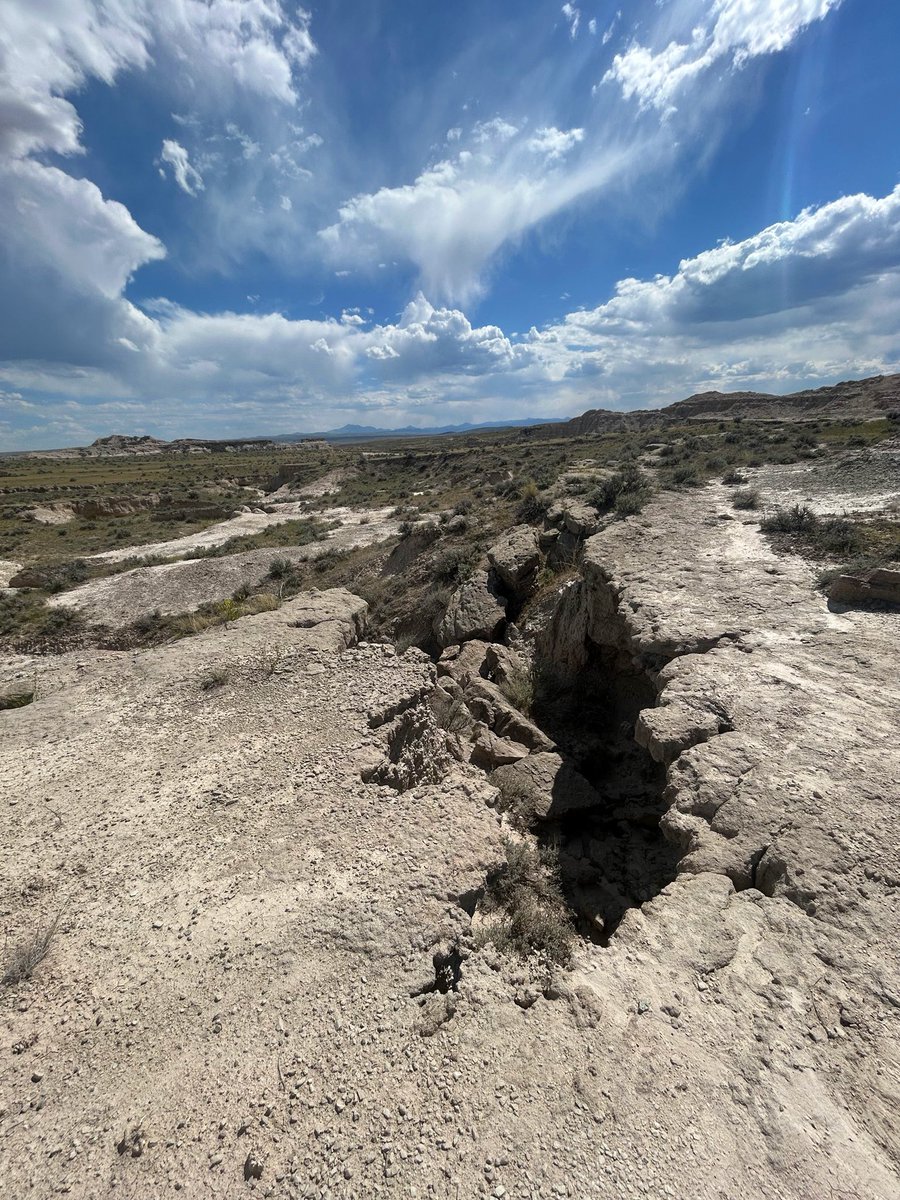 presbycollege's tweet photo. A question in a paleontology class at PC  took Jeremiah Stichnoth ’28 from the classroom to a summer fossil excavation in Wyoming! 🦖

See how curiosity, faculty mentorship and hands-on research opened a new door. 💙

🔗 https://t.co/wpDUy090IE https://t.co/XzPtjNcZZz
