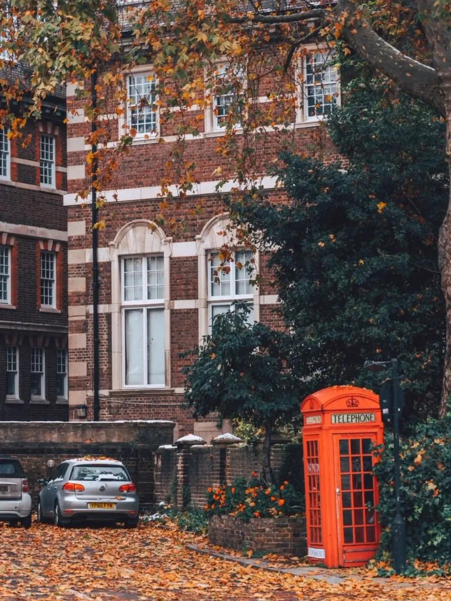earthviewss1's tweet photo. Autumn in London, UK 🇬🇧 https://t.co/qizIkT0Jux