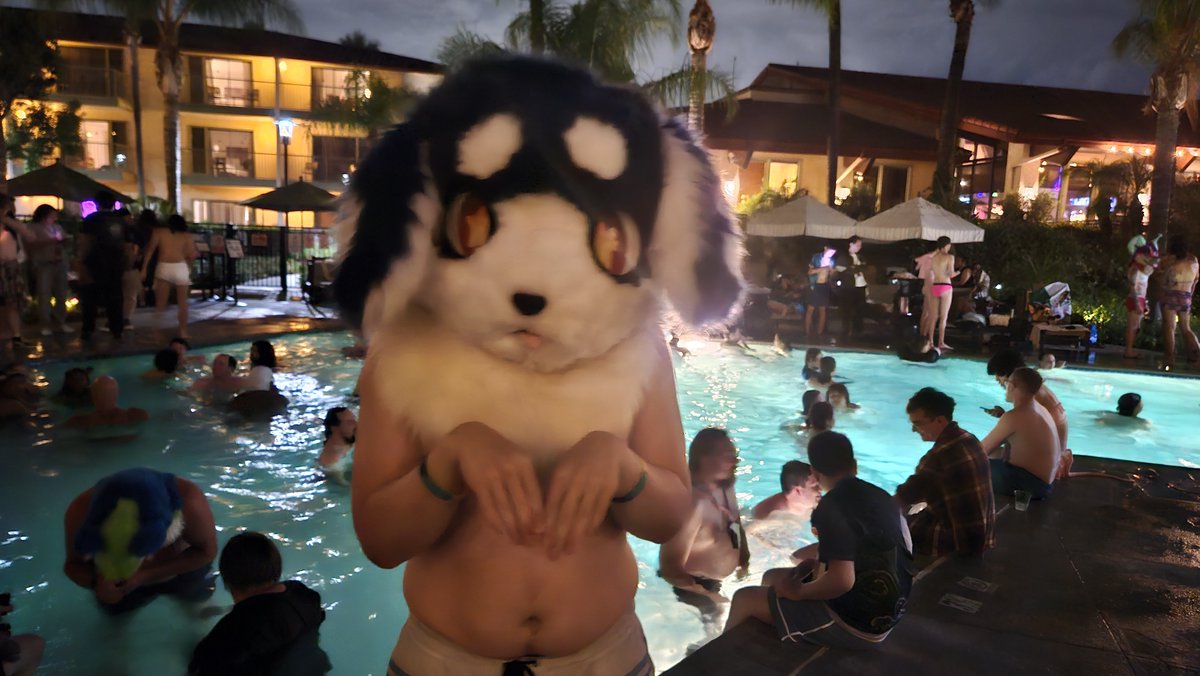 DiveTheDog's tweet photo. Catch me at #ASC @AnthroSocal this year! https://t.co/DiQH2RvdLZ