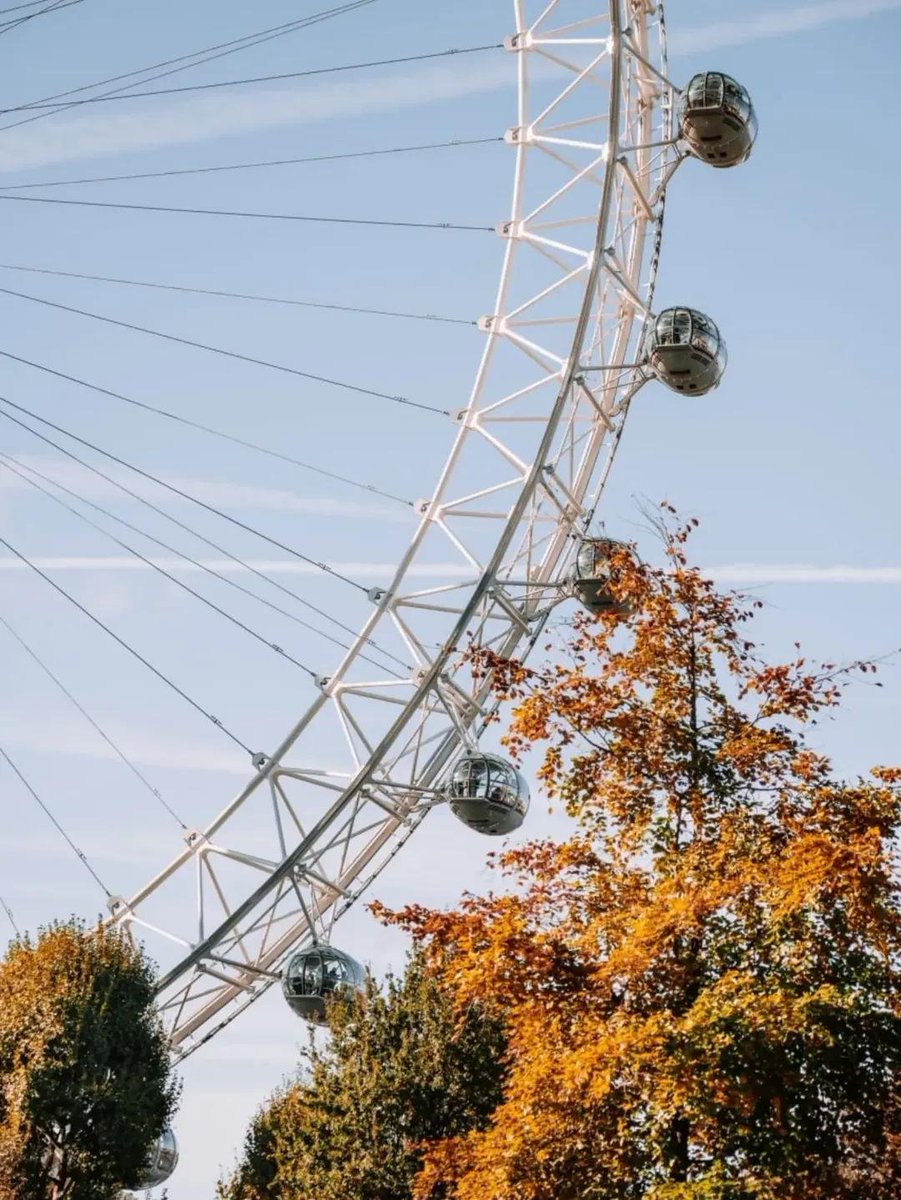 earthviewss1's tweet photo. Autumn in London, UK 🇬🇧 https://t.co/qizIkT0Jux