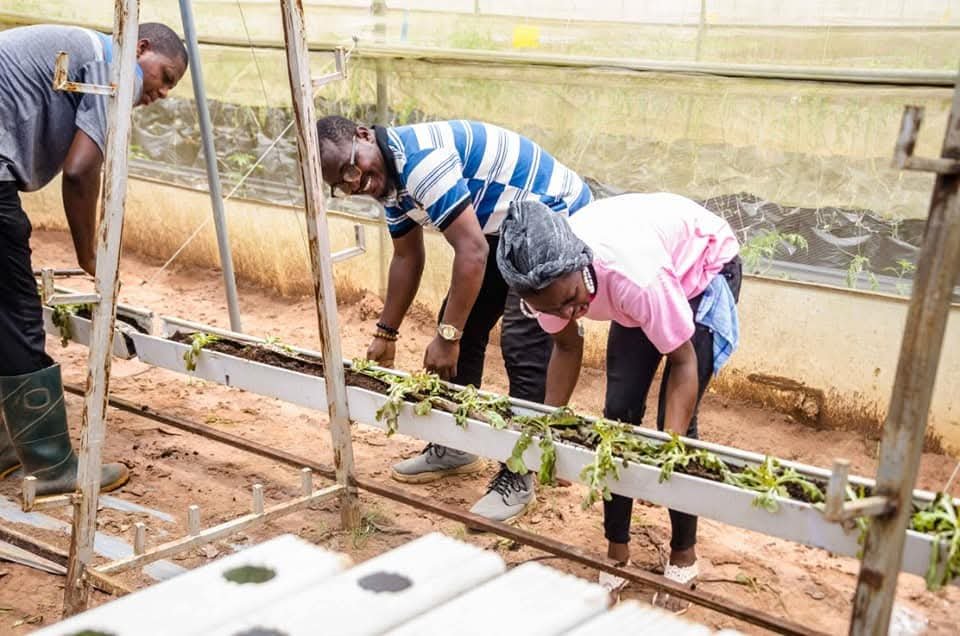 BaaleOfMilan tweet picture