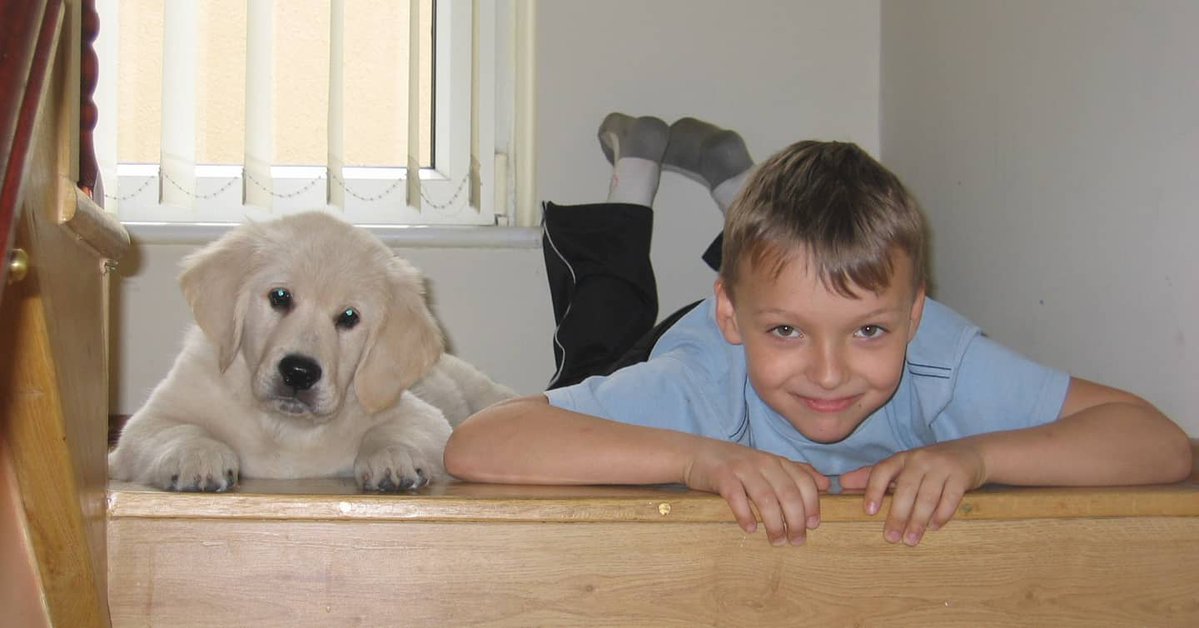 ShaniLewellyn's tweet photo. Today was National Golden Retriever Day. I miss my old Buddy. Stay strong wherever you are, hermanito. https://t.co/IiBUDNZ2rO