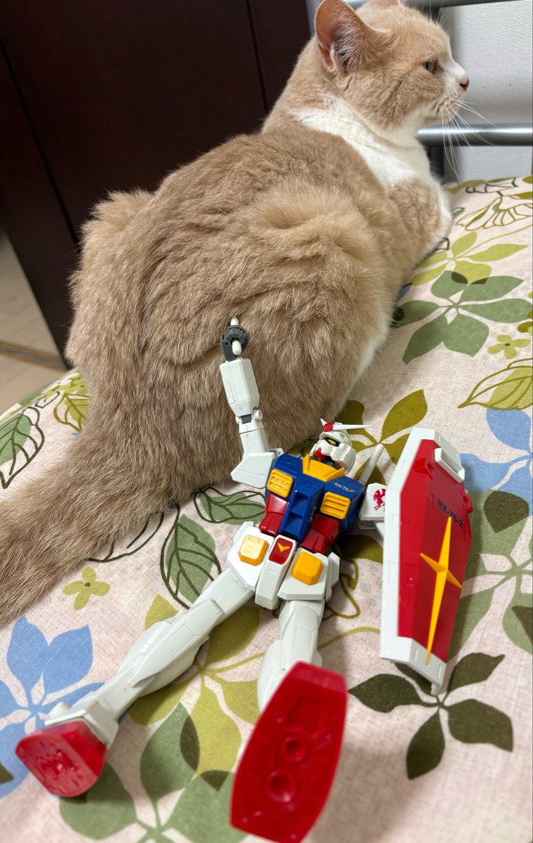 yuji0930's tweet photo. 映画版ガンダムⅢで一番好きなコンスコンのチベ撃沈シーン。
再現は難しい😅 https://t.co/pt0QFjSOHr