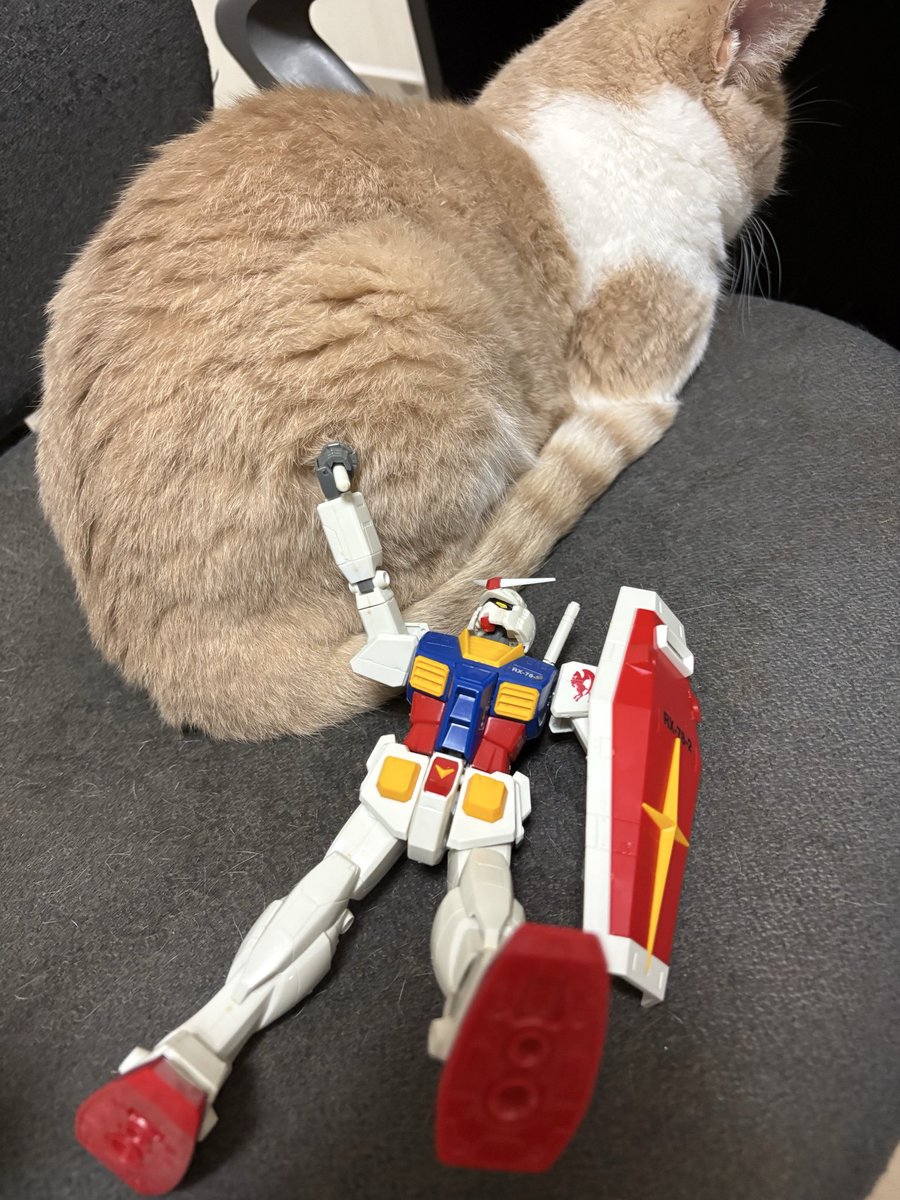 yuji0930's tweet photo. 映画版ガンダムⅢで一番好きなコンスコンのチベ撃沈シーン。
再現は難しい😅 https://t.co/pt0QFjSOHr