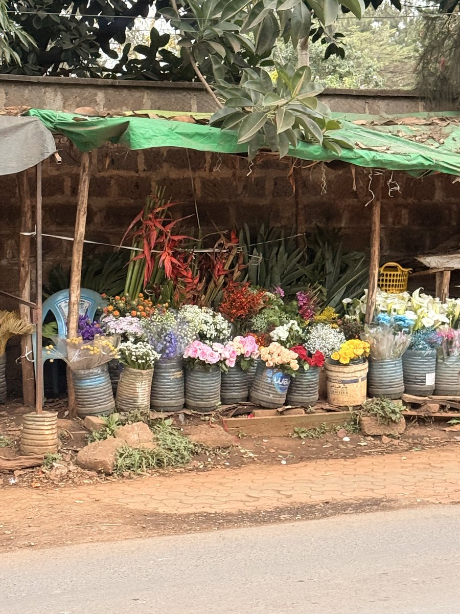 jthomasINKL7's tweet photo. Waiting for the owners 🌻🌹 #Nairobi https://t.co/vCgXwlcH6T
