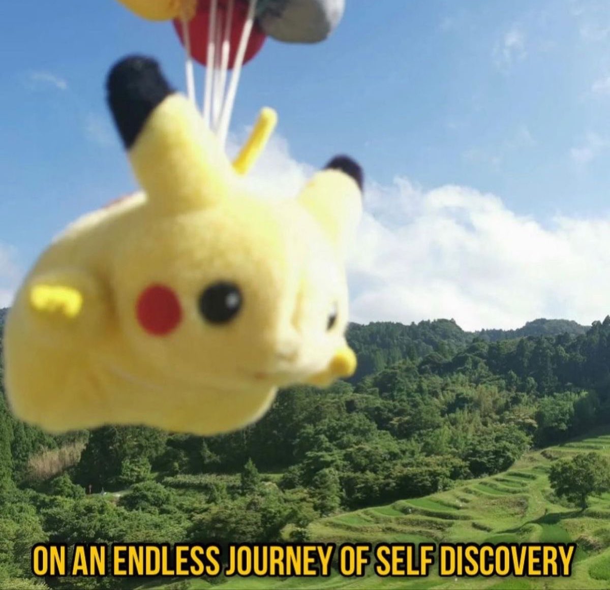 pokecoinstonk's tweet photo. On an endless journey of price discovery https://t.co/2GetfOMxZV