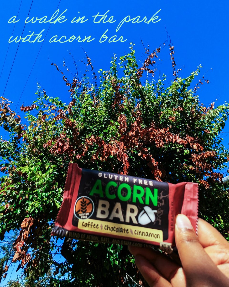 Trytheworld's tweet photo. Take a walk in the park with @acornbar!! A delicious on the go snack 😍🌳

#TryTheWorld #acorns #bar #onthego #coffeeflavor #chocolate #cinnamon #glutenfree https://t.co/uO88U5FcIa