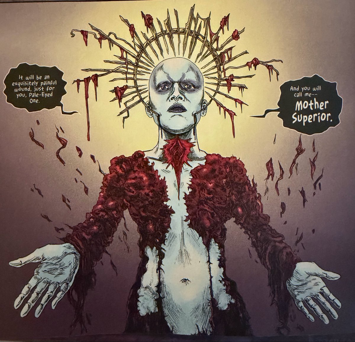 CathodeCoaster's tweet photo. the female cenobite (aka deep throat aka hole) officially being renamed mother superior this week is soooo cunt actually https://t.co/qOKOw5Sc8n