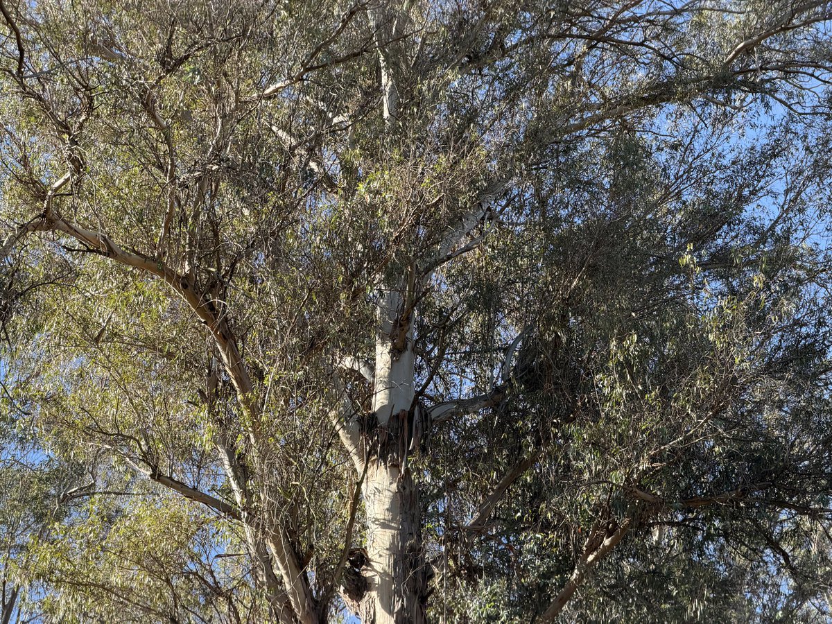 OortCloudAtlas's tweet photo. Want to be spiritual? Talk to your neighbor.
Want to experience the divine? Give to a charity. 
Want to help the world? Plant a tree. https://t.co/5MobSNL7IT
