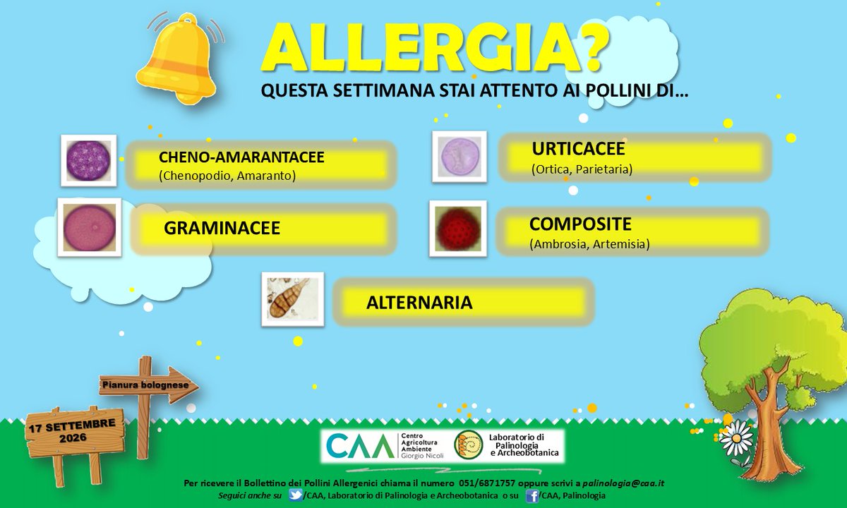 CAAPalinologia's tweet photo. Bollettino dei Pollini Allergenici - 17.09.2026 per sapere quali pollini sono presenti in aria! Per richiedere il Bollettino analitico scrivere a palinologia@caa.it (il servizio è riservato ai cittadini dei Comuni aderenti al progetto). https://t.co/DIBO1mbQFH