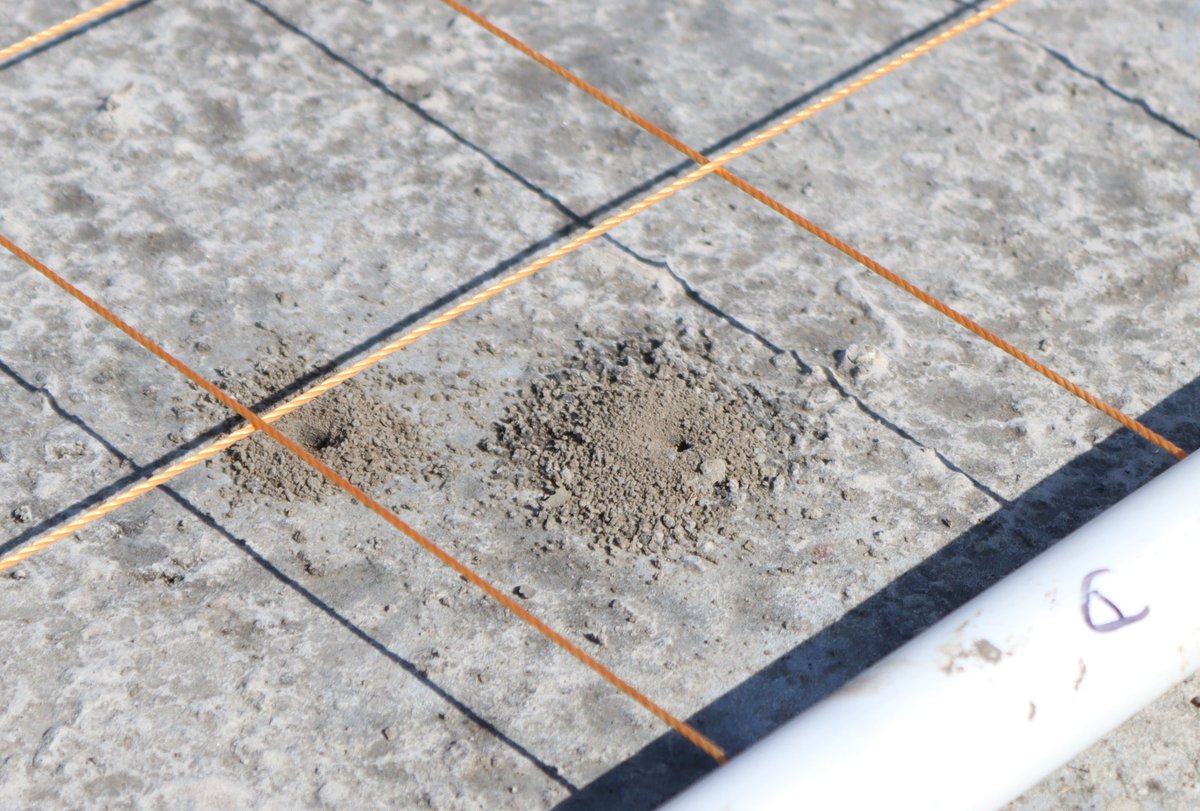 A closeup view of two burrows that Salt Creek tiger beetles have made in a dry lakebed at Arbor Lake. They are located under a portable grid.