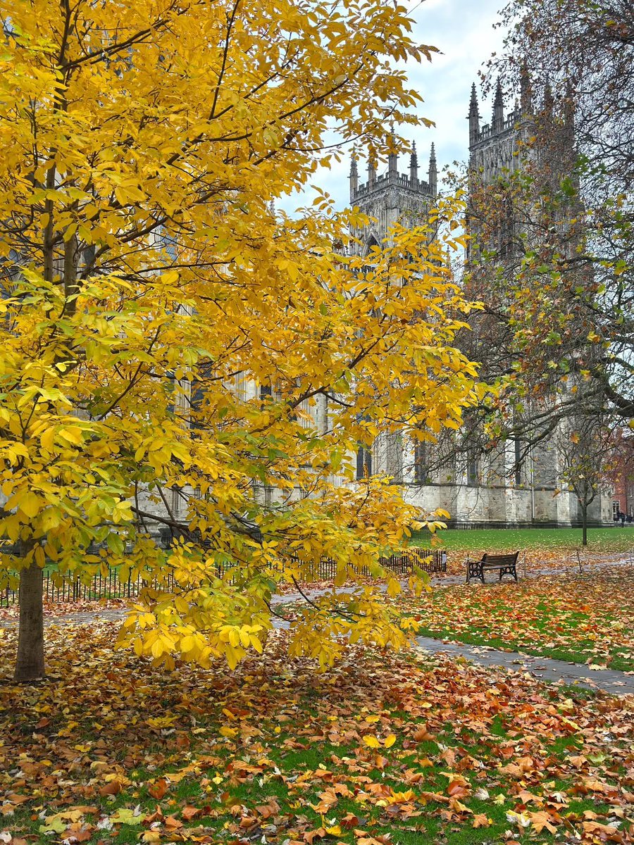visitnorthyork's tweet photo. Soon...🍁🤎🍂 https://t.co/8a5KbDkULT