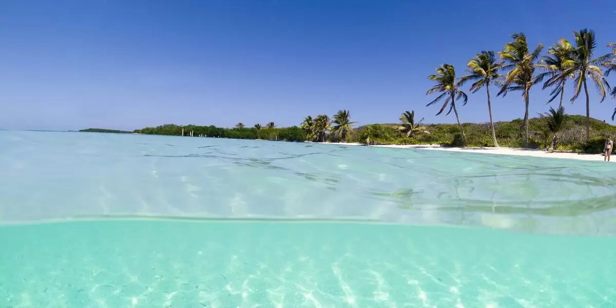 GanGuitaApp's tweet photo. ¡Mirá lo que vi en https://t.co/cQLOrKGHWI! 🐠 Cancún Directo a partir de U$D 649 desde Bs As

🔥Directos a Cancún desde Buenos Aires a partir de U$D 649 finales, ida y vuelta.
https://t.co/RWeZB9TBUc https://t.co/UjvmyQK1nT