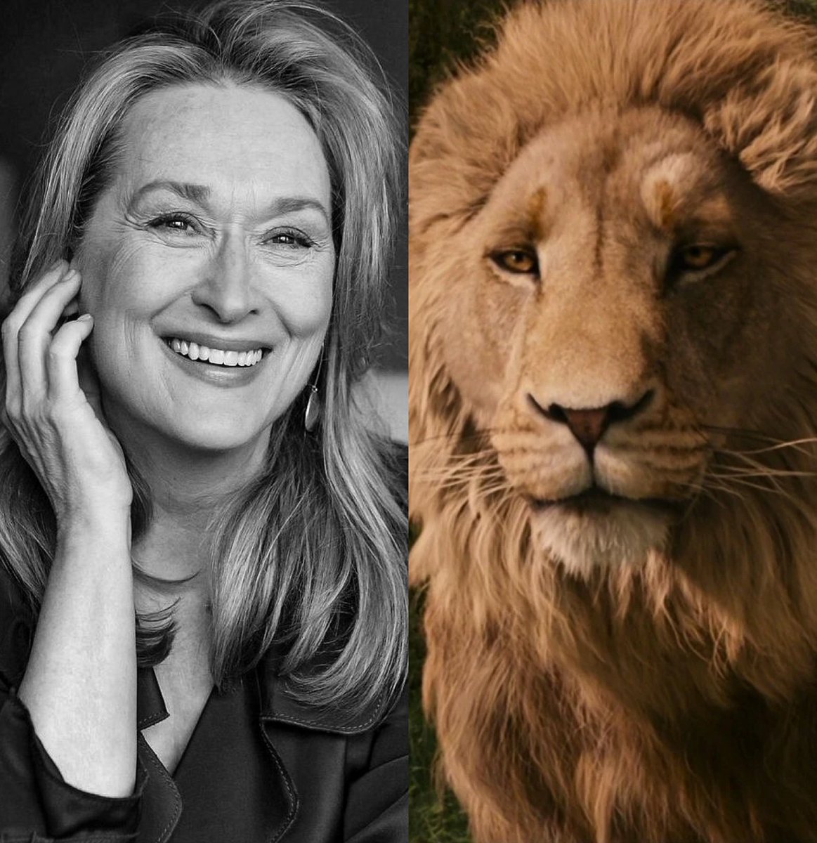 _filmcrave's tweet photo. Meryl Streep will officially voice Aslan in Greta Gerwig’s ‘NARNIA: THE MAGICIAN'S NEPHEW’. 

🔗 https://t.co/VPXM5XAY0l https://t.co/H5VYmi8BcH