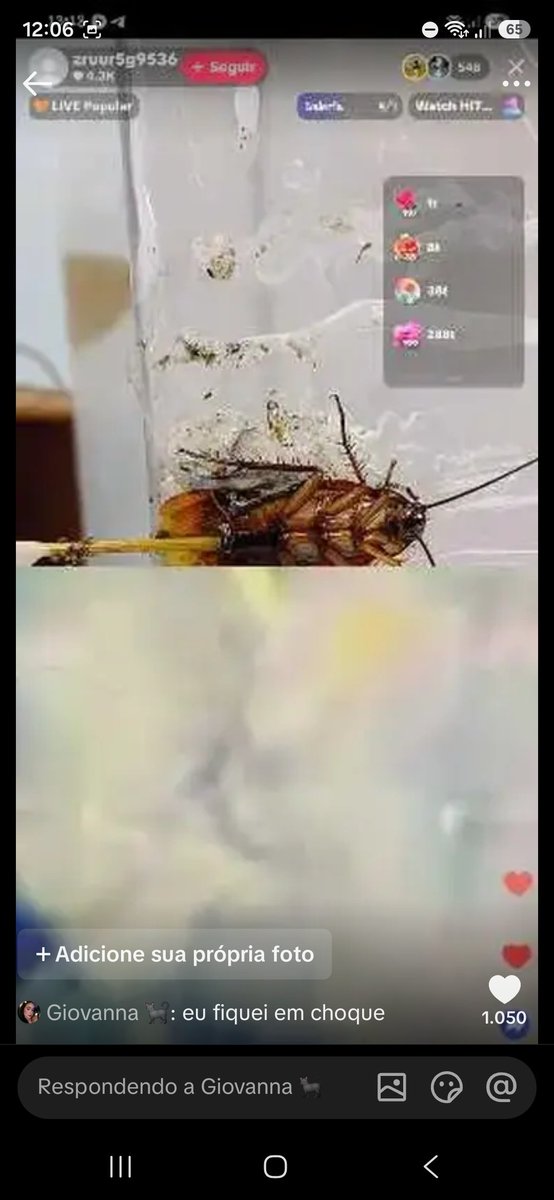 Nunszll's tweet photo. Pfv vamos falar sobre um homem nojento e escroto que esta no tiktok fazendo Live estuprando animais, chegou ao nível dele grudar uma barata VIVA em uma placa e estuprar ela com um pedaço de madeira ate a morte https://t.co/ML4XO2f9XU