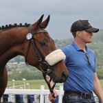 Photo by Tattersalls Cheltenham (@TattsCheltenham)