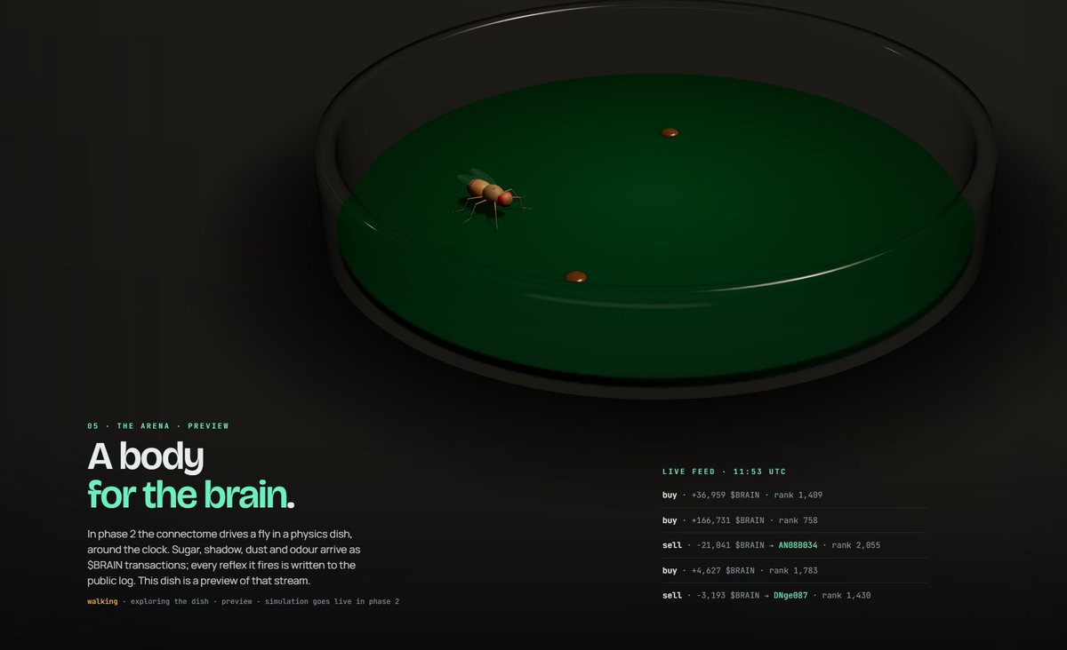 BrainClubwr's tweet photo. While we’re working on the game - which is super well-thought-out, seriously... we’ve already burned through our $200 weekly limit on Claude Code in just two days (just to give you an idea of how hard we're grinding) - here’s our updated website design. 
Nothing crazy, we just want to keep things looking clean and respectable.