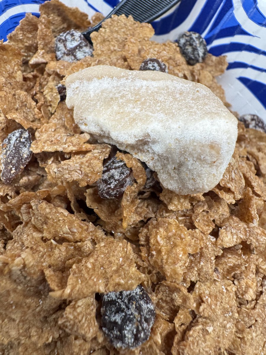 marthafoooker's tweet photo. So trying to get my day started and this came out of my @KelloggsUS cereal. 

Does anyone know what this I am grossed out? @FDA https://t.co/XpoaNqdEWE