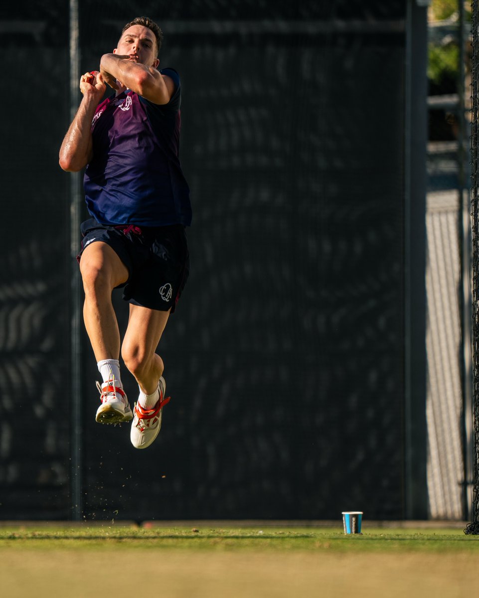 KimberleyMtpnd's tweet photo. Shield is backkk 
Work done for @qldcricket at the end of last year https://t.co/anIQsEiRVx