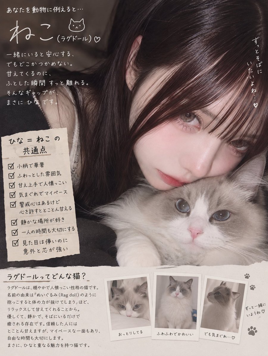 hinacha_xx's tweet photo. 流行りのやつ！ひなは猫らしいにゃーん🐱 https://t.co/8KGoYQSNXD