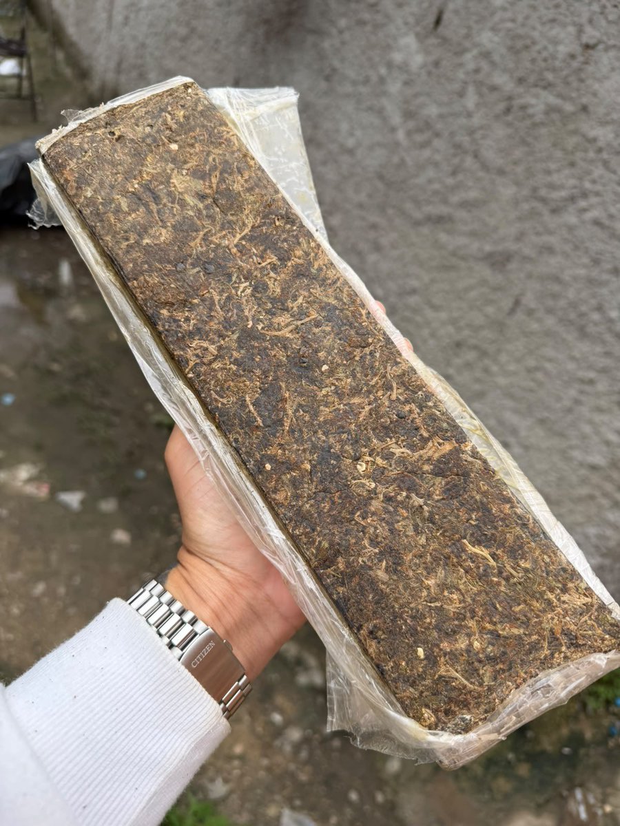 MACONHASDORIOO's tweet photo. 🍁 Urubu, Pilares 🍁 

Trabalho novo , caindo tudo nesse momento só as tops https://t.co/BXWBJp27Js