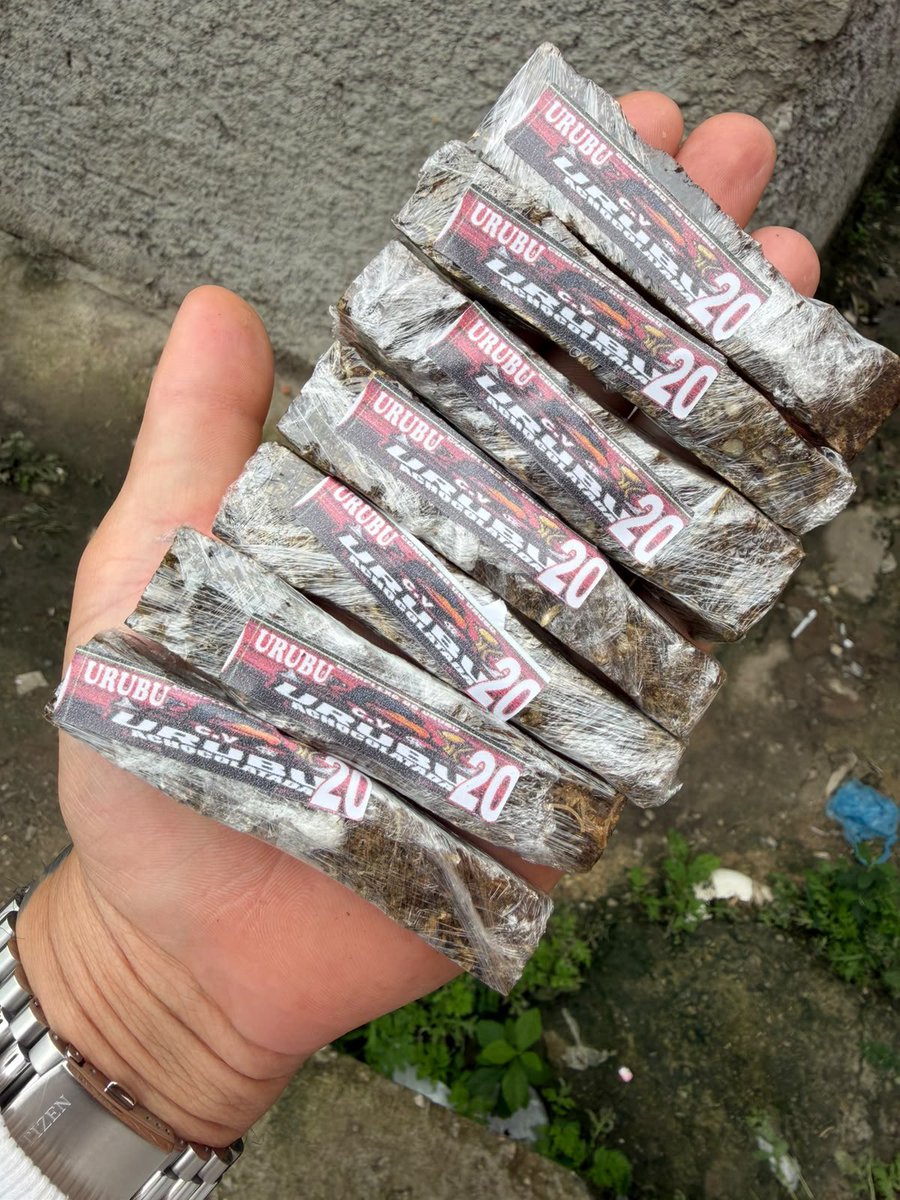 MACONHASDORIOO's tweet photo. 🍁 Urubu, Pilares 🍁 

Trabalho novo , caindo tudo nesse momento só as tops https://t.co/BXWBJp27Js