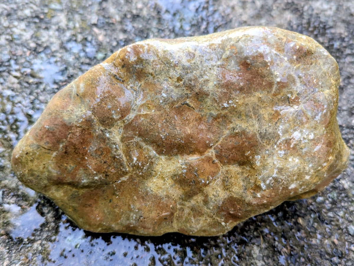 CNRocksCrafts's tweet photo. This WIP brecciated jasper looks very average at first glance. Once inside however, the patterns are amazing! And under UV 365nm everything glows brown/beige/tan. I'll post more when it's finished. 🪨😍🐦‍⬛ #CNRocksCrafts #rocks #innerbeauty https://t.co/d2qTdP9Tge