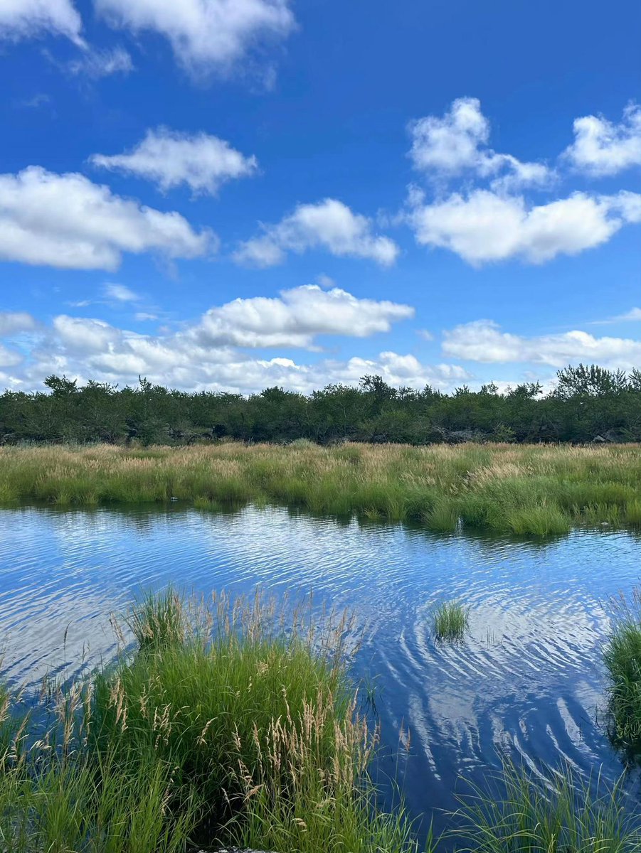 LenitaMrozinski's tweet photo. sometimes the quiet moments feel like a heavy weight, though i am not sure why. what brings you a sense of calm lately? https://t.co/4Wu7cmfQah