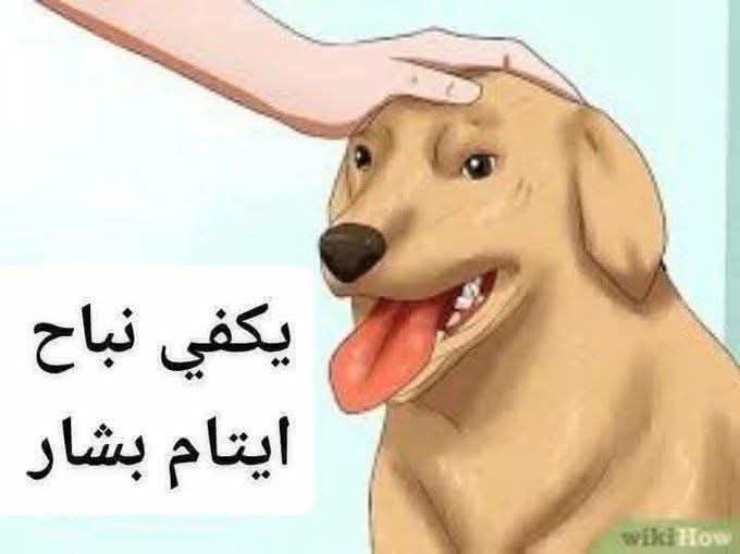 HAMODE31327441's tweet photo. @aliaa_saeid https://t.co/k1qRhj6IJi